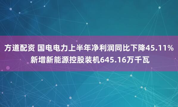 方道配资 国电电力上半年净利润同比下降45.11% 新增新能源控股装机645.16万千瓦