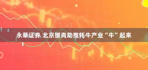 永華证券 北京援青助推牦牛产业“牛”起来
